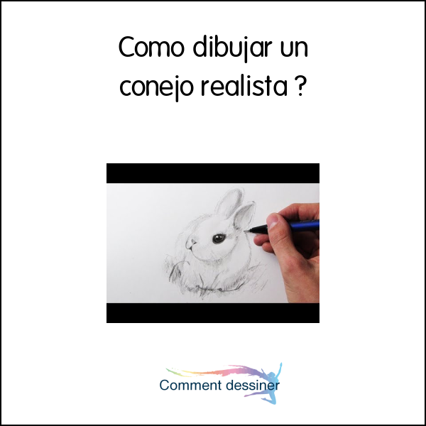 Como dibujar un conejo realista